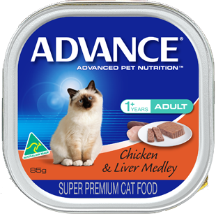 Cat Food