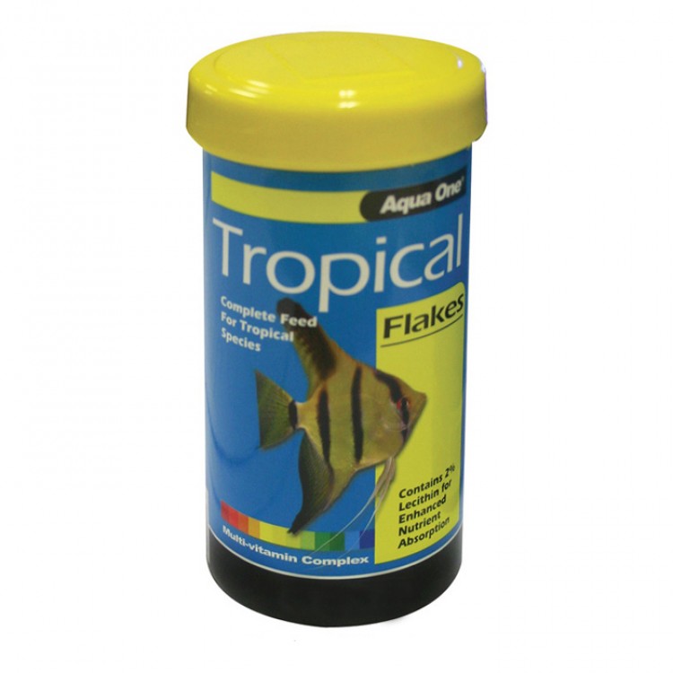 Fish Food