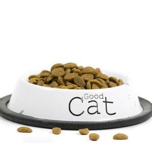 Cat Food and Treats