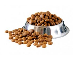 Dog Food