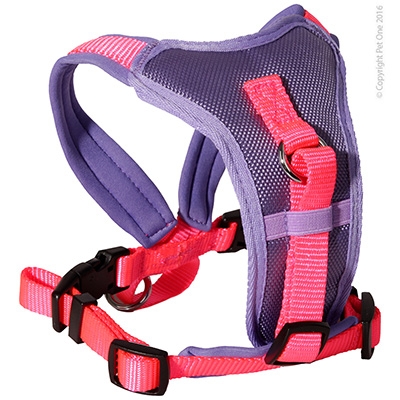 Padded harness on sale