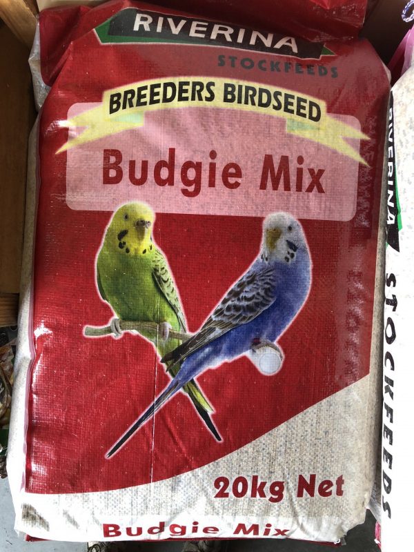 Budgie Mix