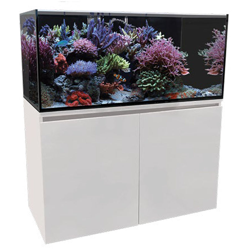 Fish Tanks