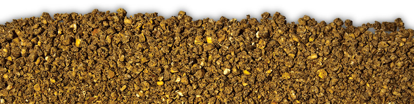 poultry-feed-gamebird-starter