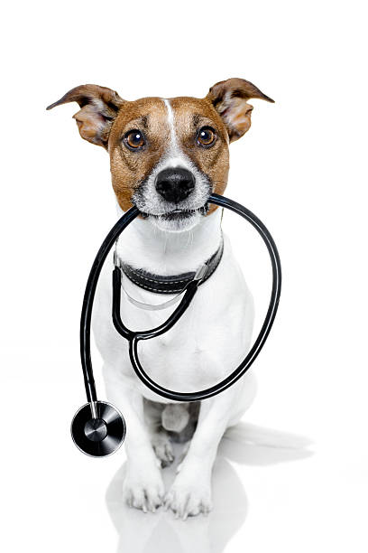 Medical