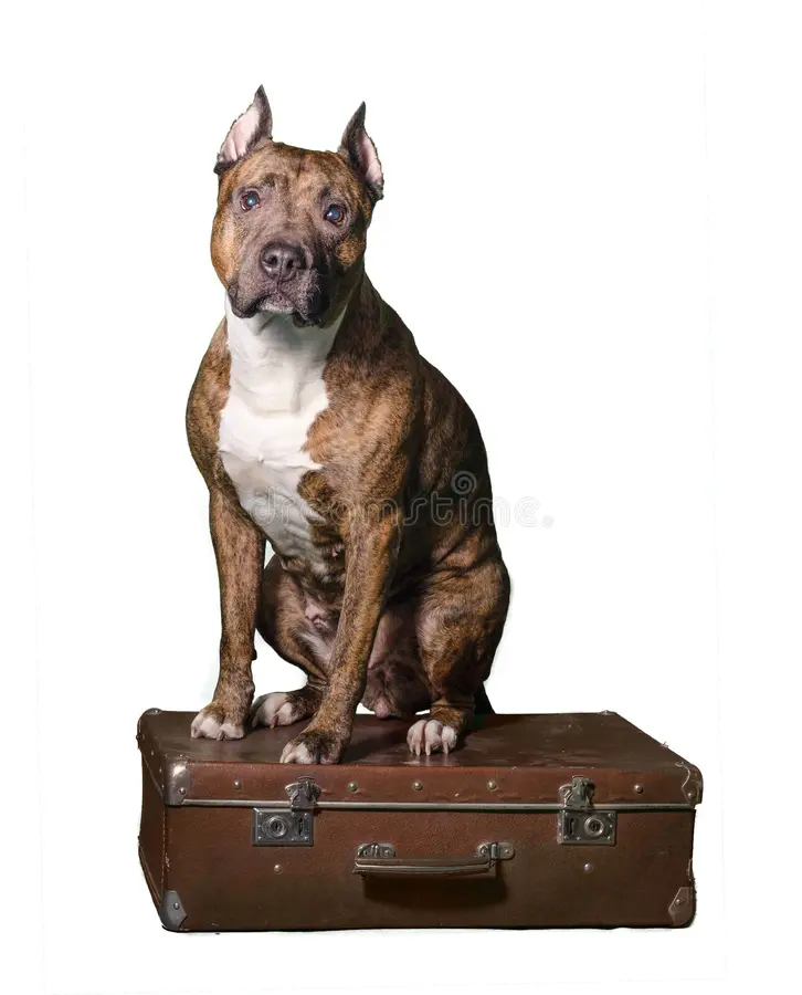 Travel